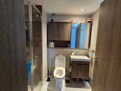 Sol Acres (D23), Condominium #456999741